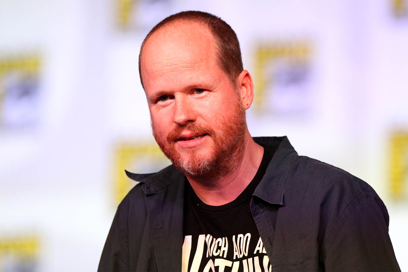 Joss Whedon toy story