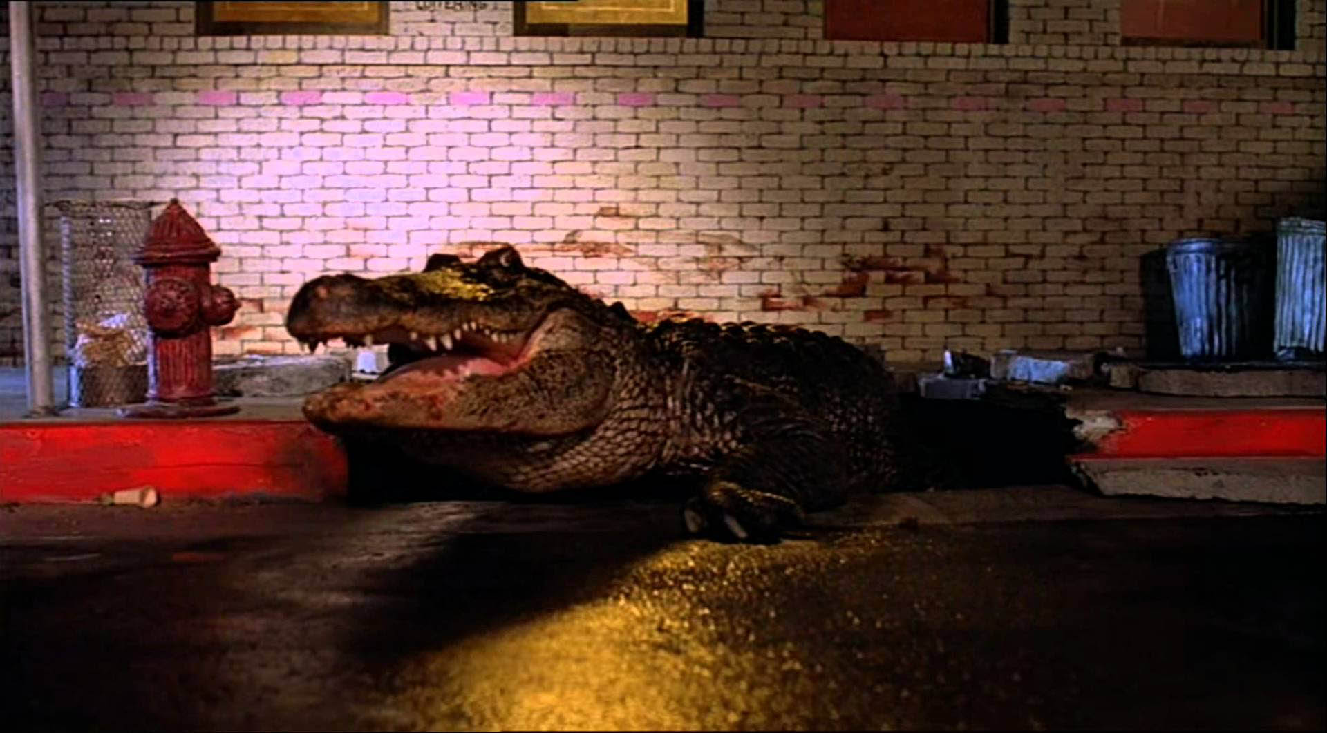 1980 Movie Project - Alligator - 01