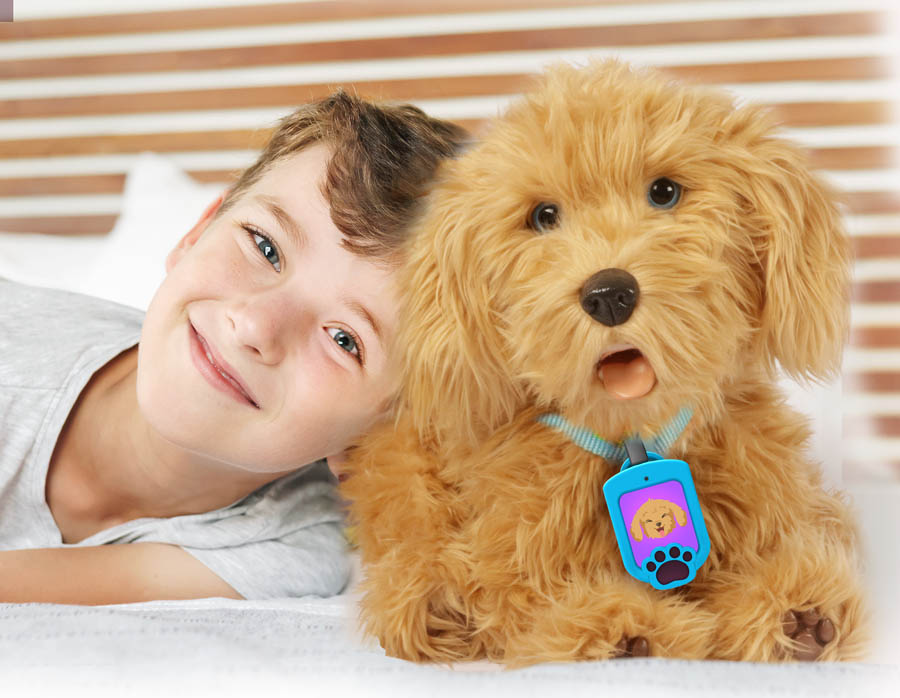 Skyrocket - Moji the Lovable Labradoodle - 2021 Preview - 01