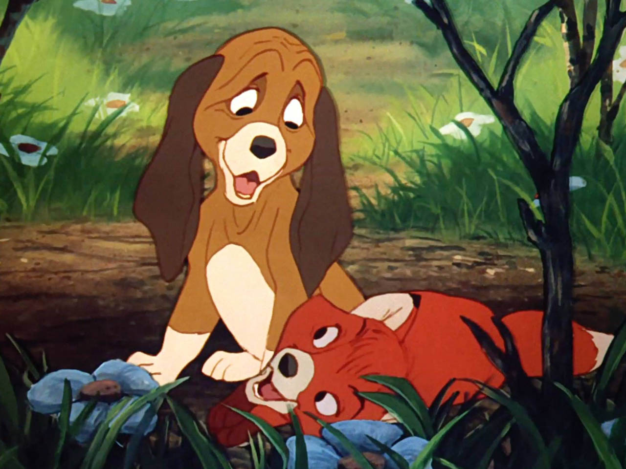 1981 Movie Project - Fox and the Hound - 01