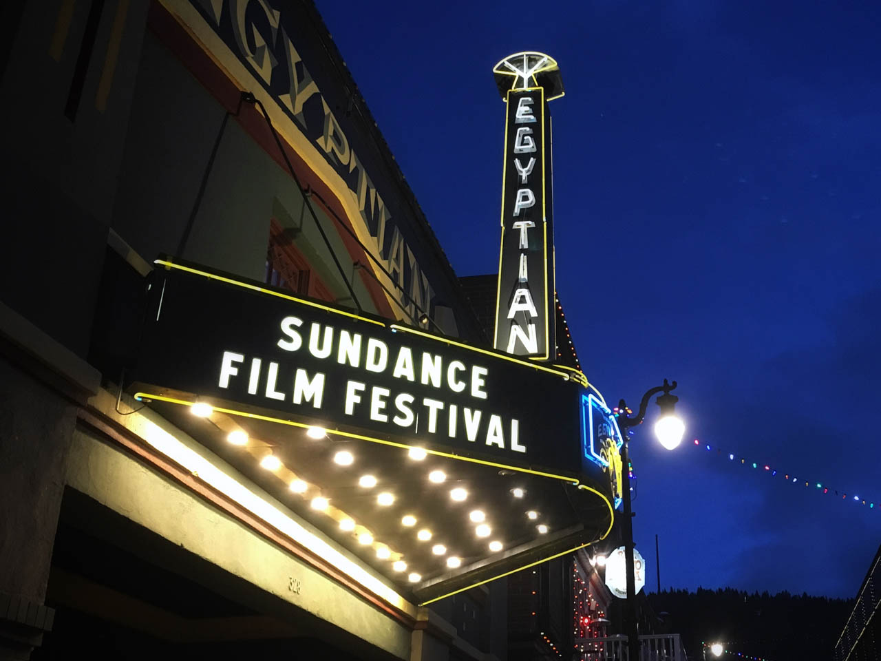 Sundance Film Festival cancels inperson events The Nerdy