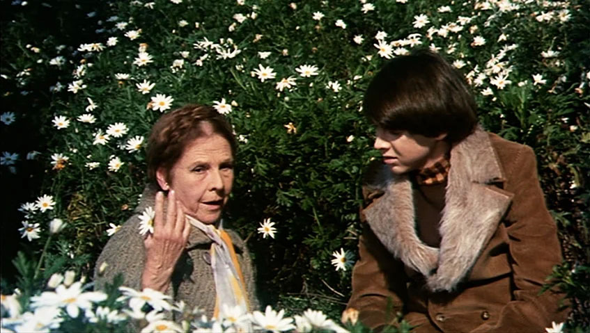Best Romantic Comedies of 1970s - Harold and Maude sitting in a field in Harold and Maude