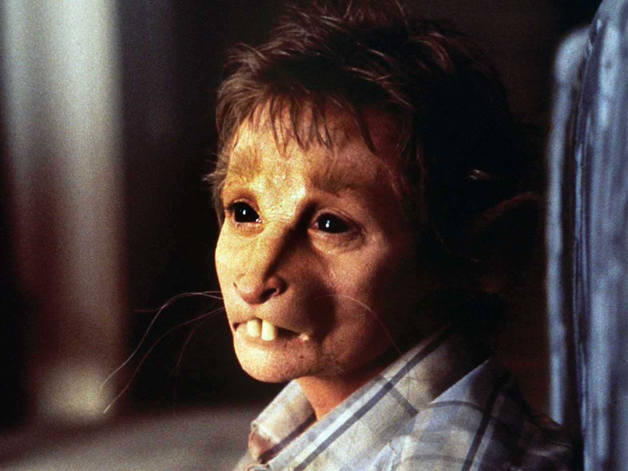 1986 Movie Reviews – Ratboy